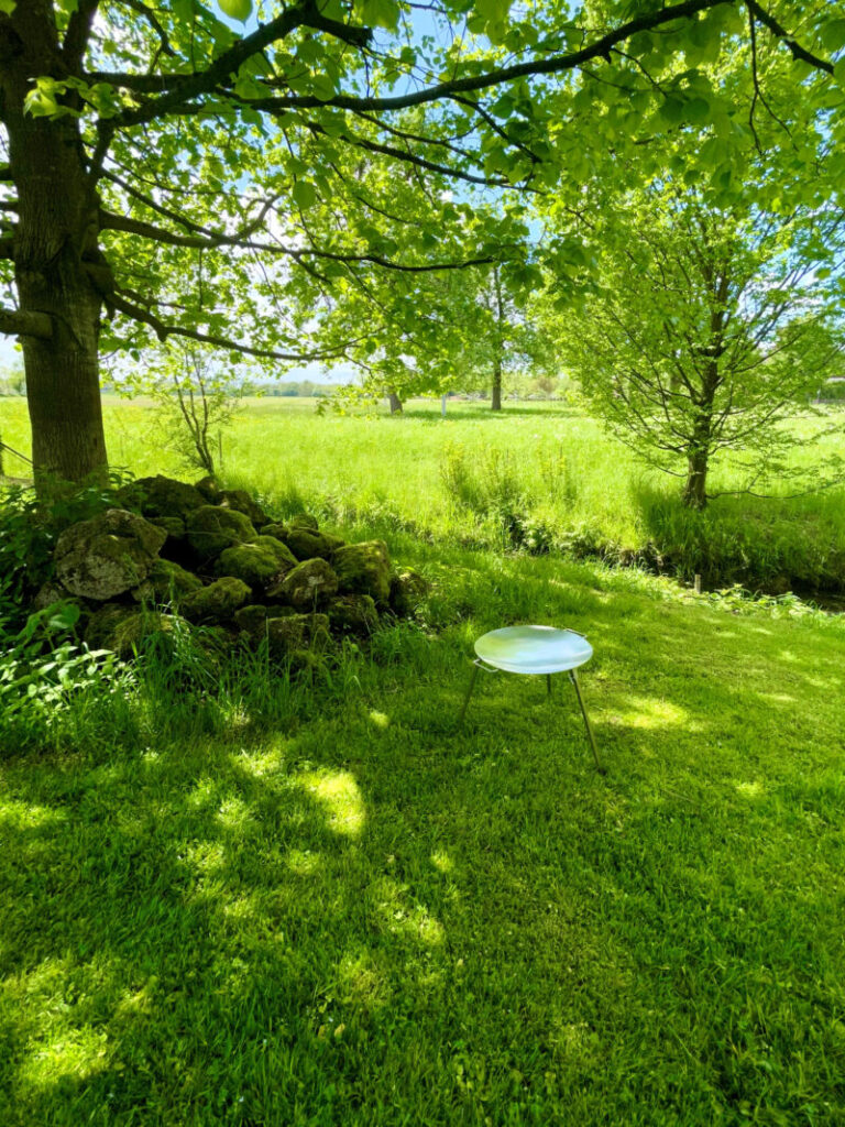 Cowboy_Wok_Discada_Plaque_de_cuisson_7