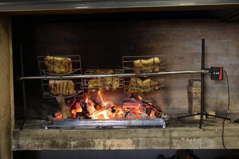 meat_clamps_skewer_wings_21[1]