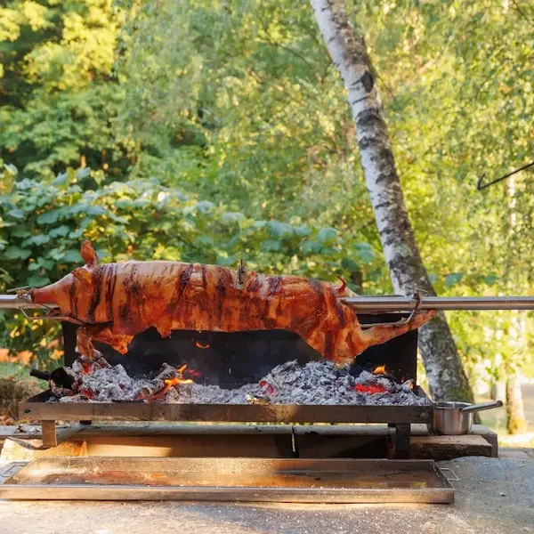 Tourne_Broche_r-grill_2026