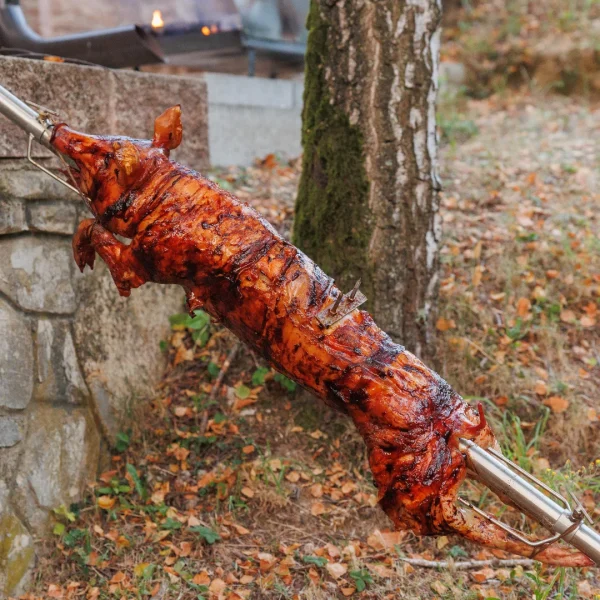 whole_pig_spit_roasted[1]